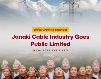 Janaki Cable Limited: From Private Roots to Public Power